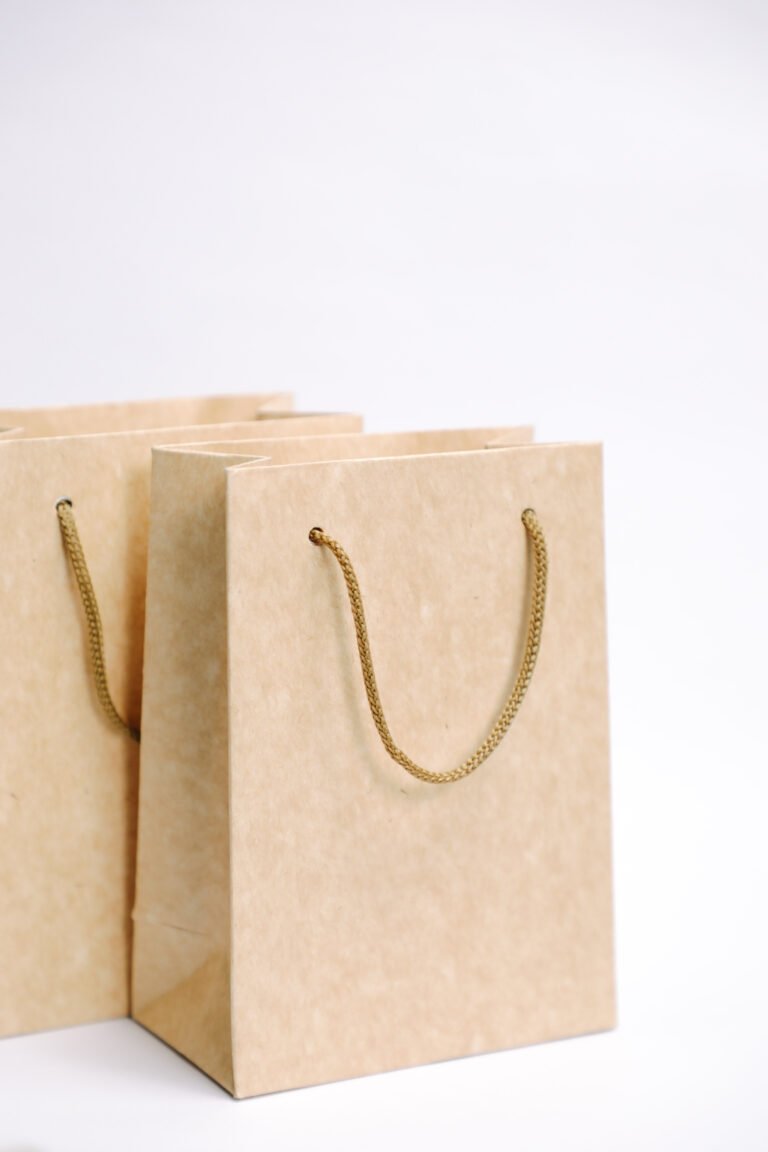 Canva - Paper Bags on White Background (1)